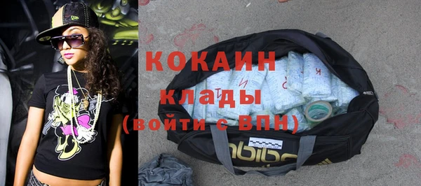 дживик Абаза