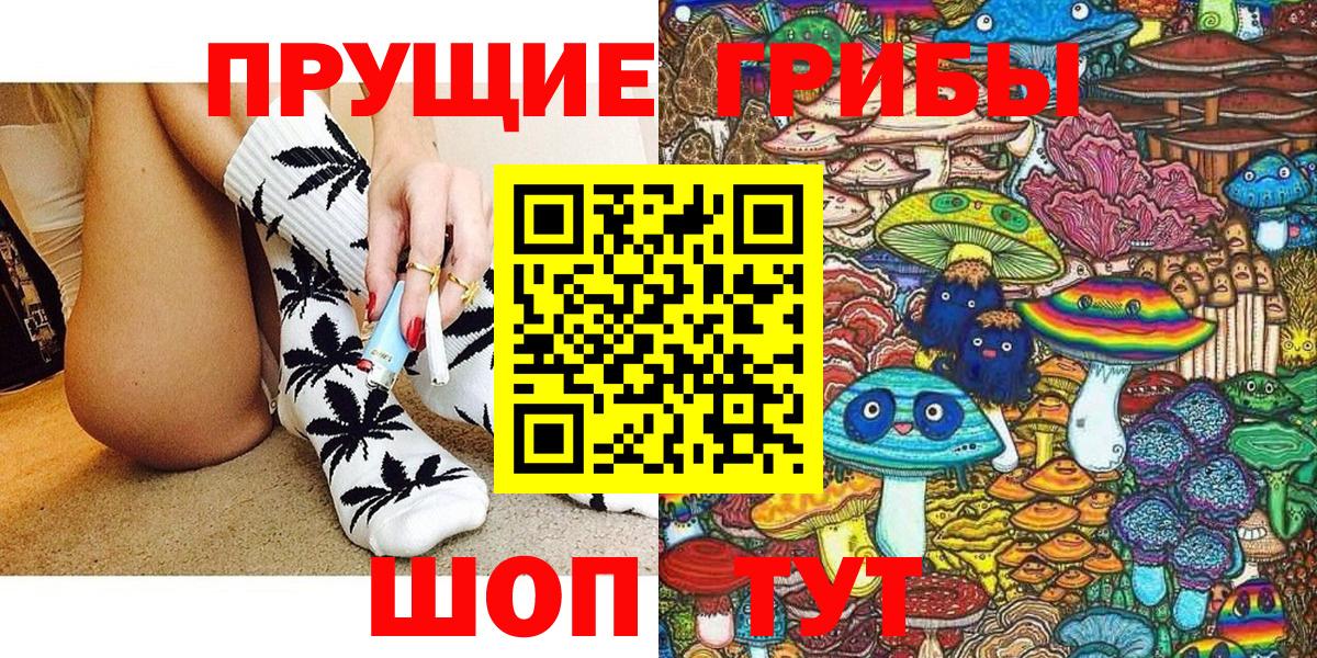 Псилоцибиновые грибы GOLDEN TEACHER Саратов