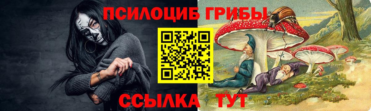 Псилоцибиновые грибы ЛСД  Псилоцибиновые грибы ЛСД  Вход с VPN  Саратов 
