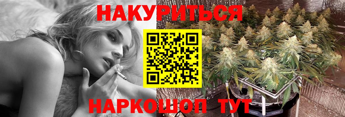 Бошки Шишки SATIVA & INDICA  Вход с VPN  МАРИХУАНА план  Саратов  МАРИХУАНА White Widow 